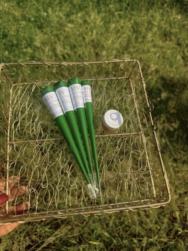 Henna kit (3 bridal hand cones 1 nailcone 1 aftercare)