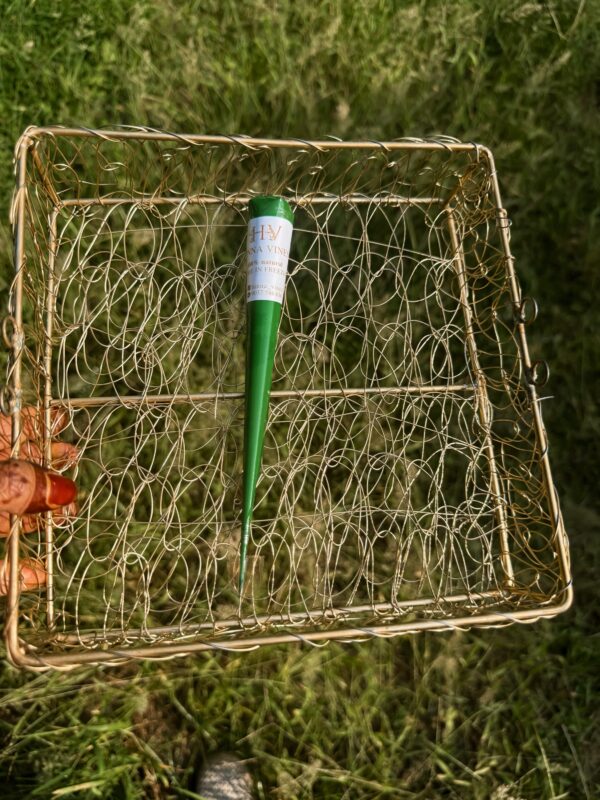 Bridal hand cone (Organic)  25g