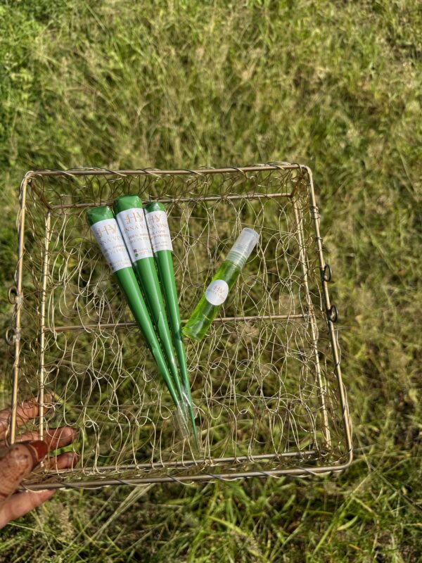 2 organic henna cone (bridal) 1 nailcone 1 aftercare