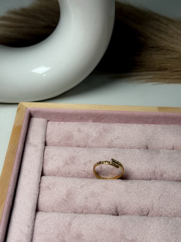 Double twist ring